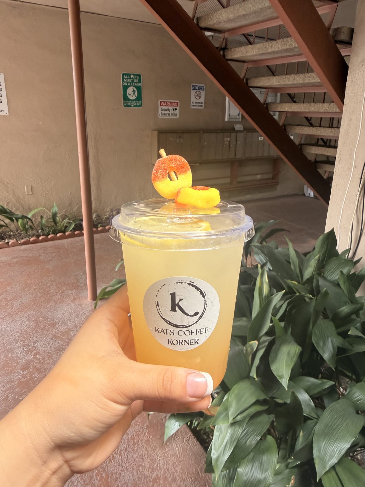 Golden Sunset Lemonade