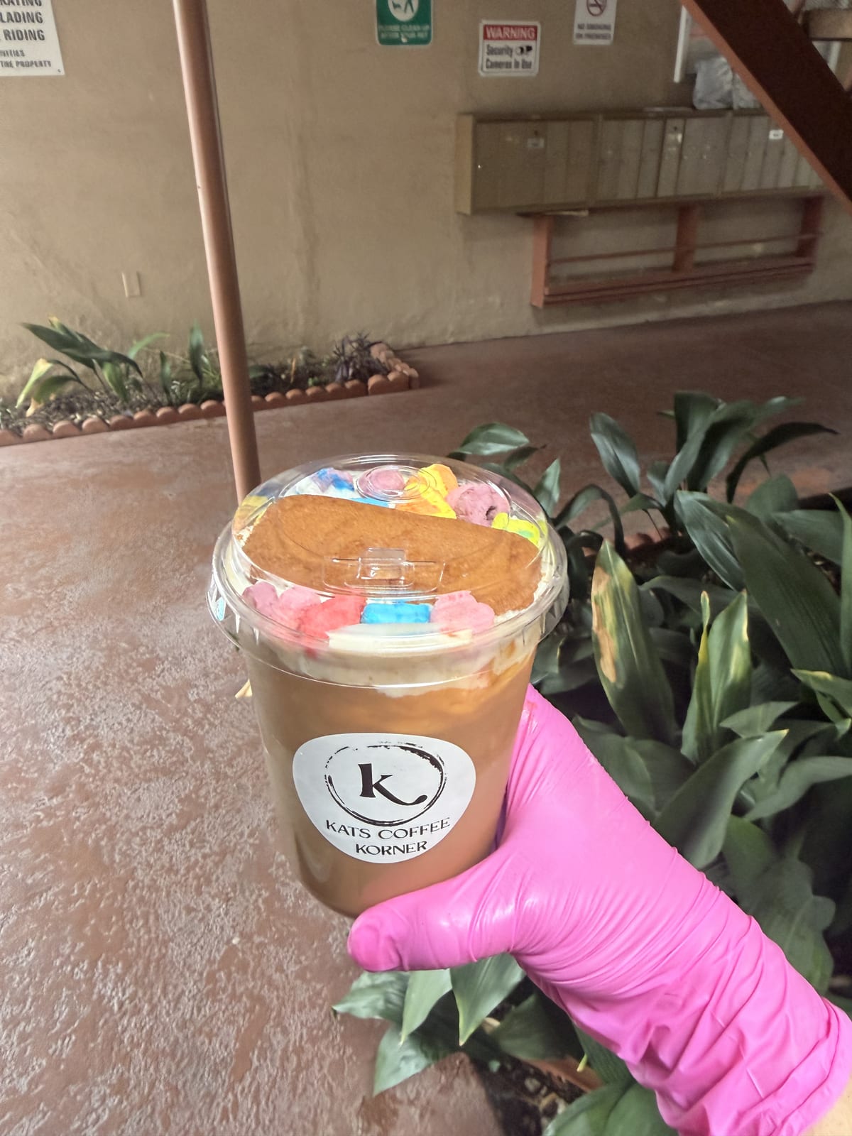 Galletita Latte